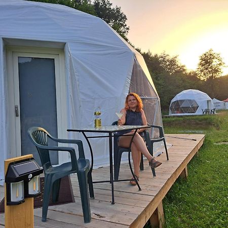 Forest Glamping Braşov Eksteriør billede