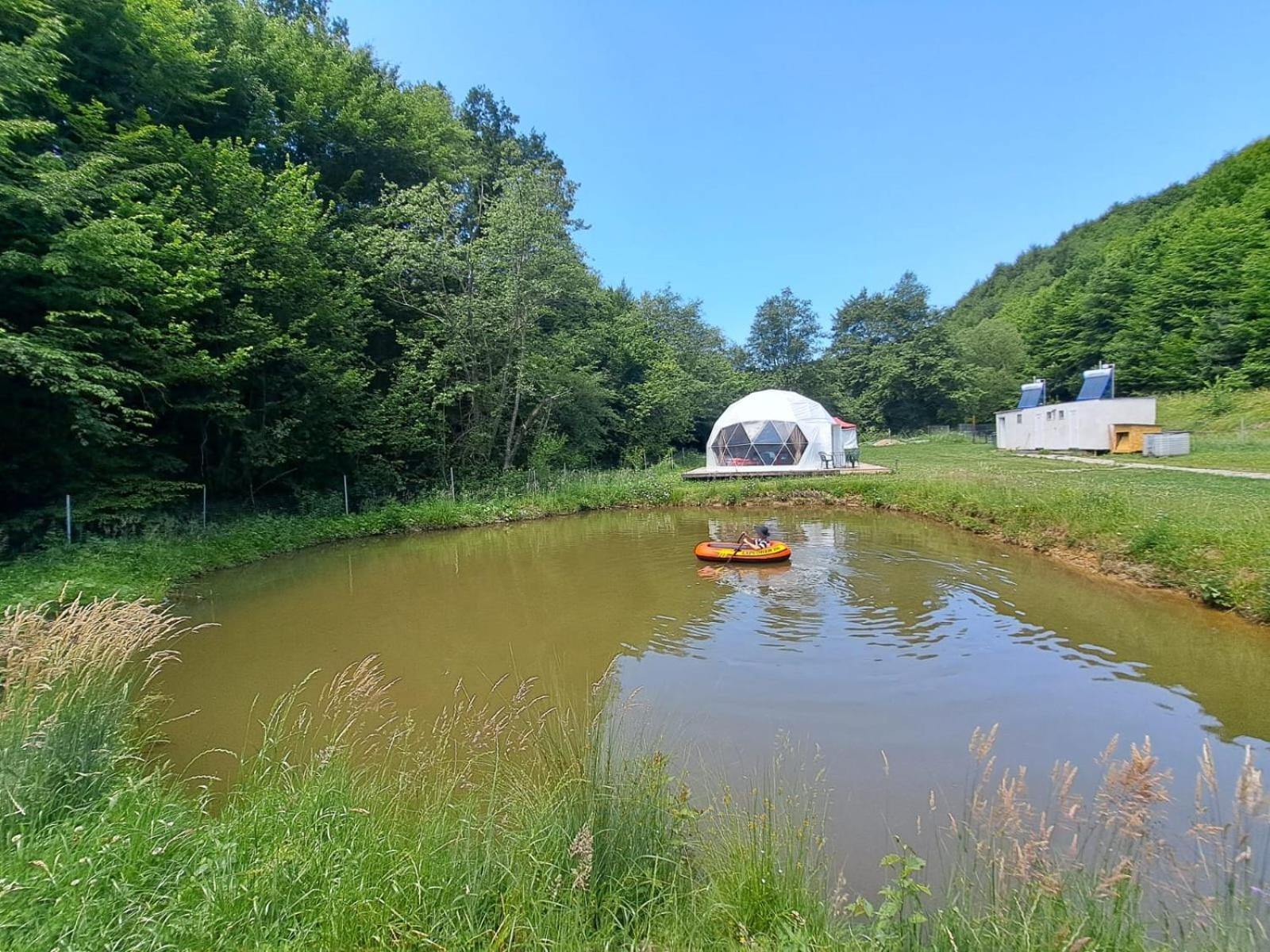 Forest Glamping Braşov Eksteriør billede