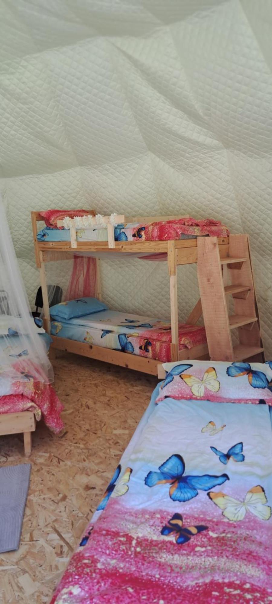 Forest Glamping Braşov Eksteriør billede