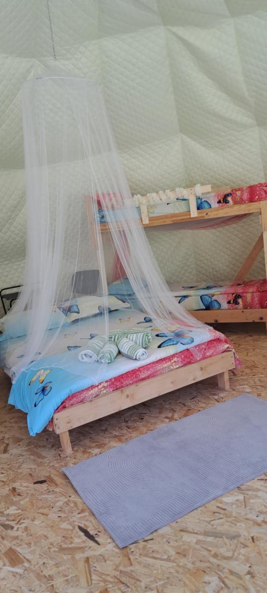Forest Glamping Braşov Eksteriør billede