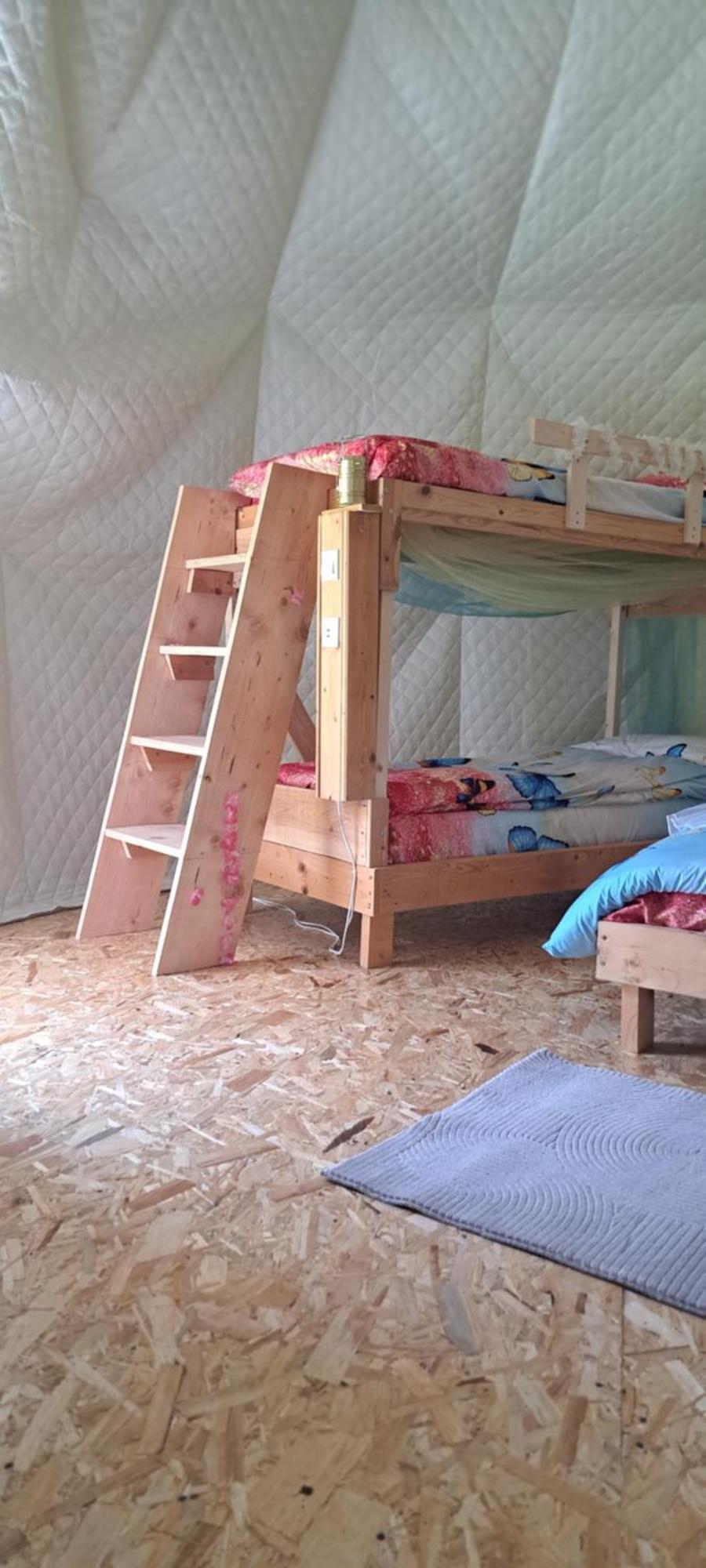 Forest Glamping Braşov Eksteriør billede