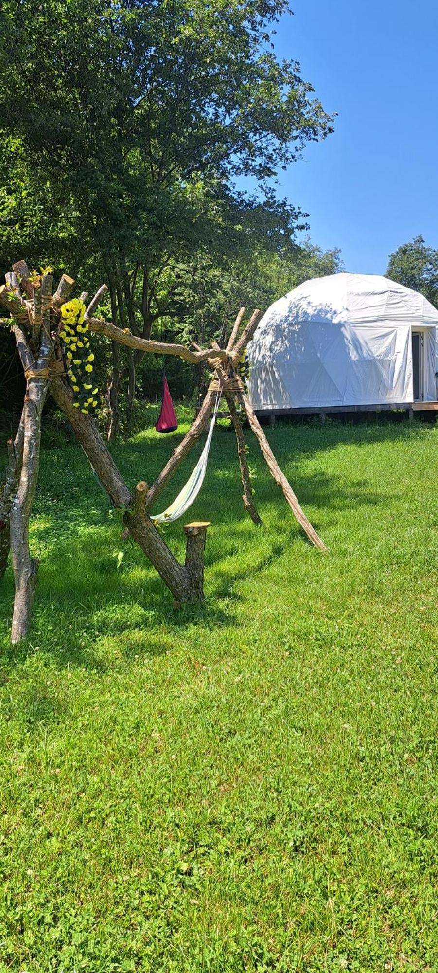 Forest Glamping Braşov Eksteriør billede