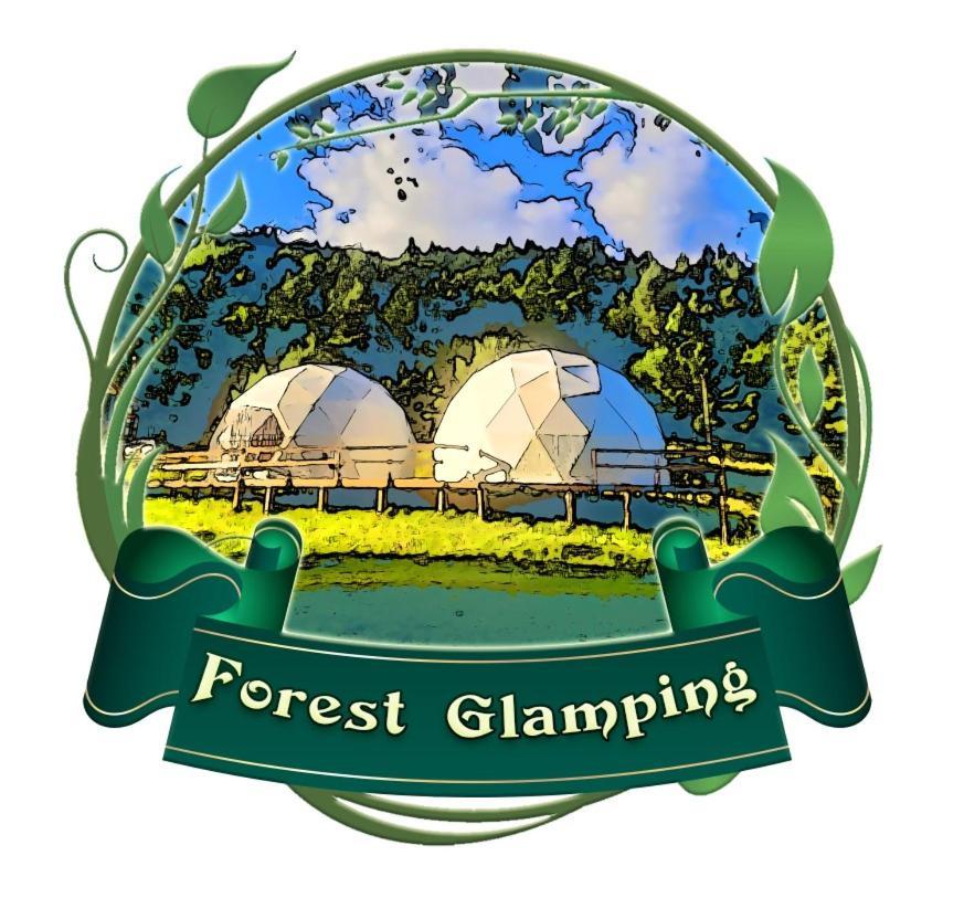 Forest Glamping Braşov Eksteriør billede