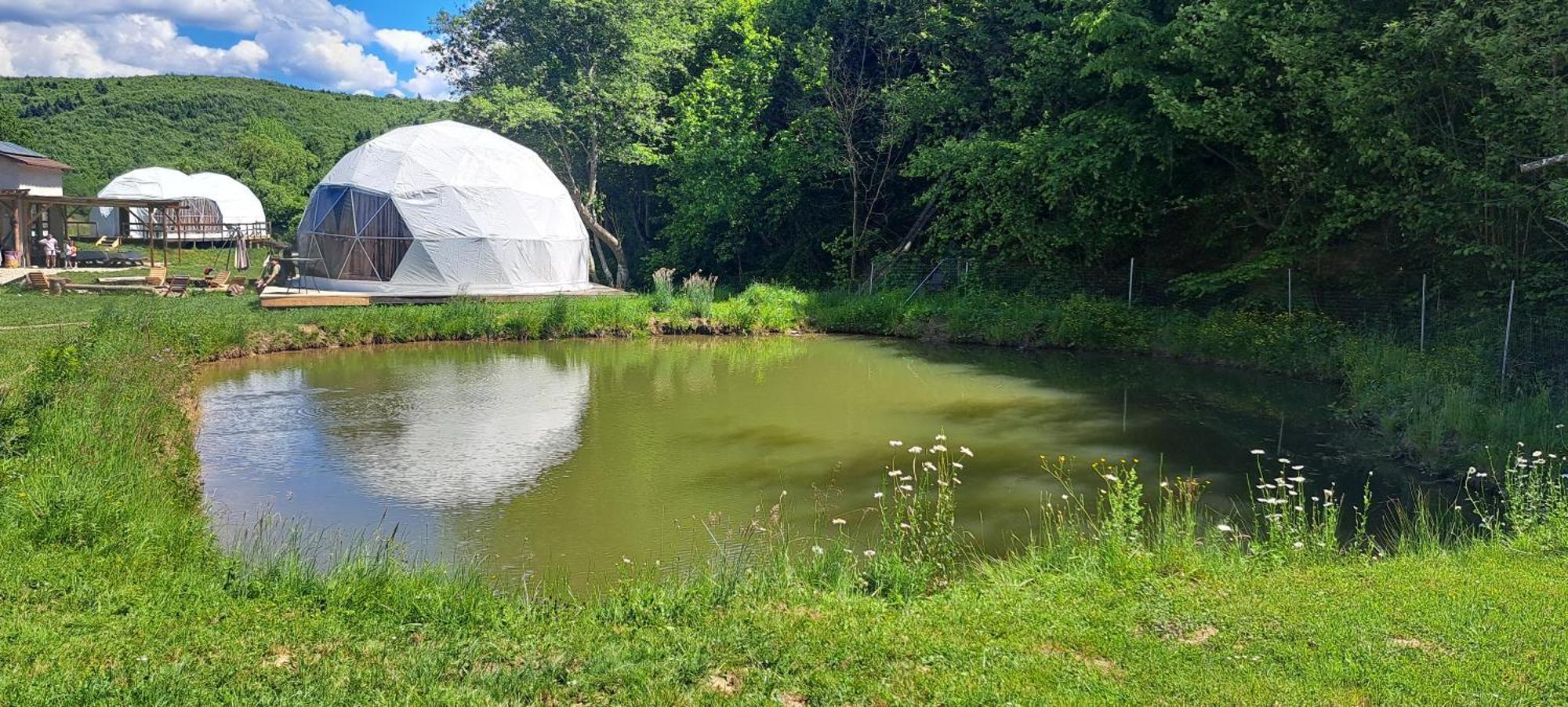 Forest Glamping Braşov Eksteriør billede