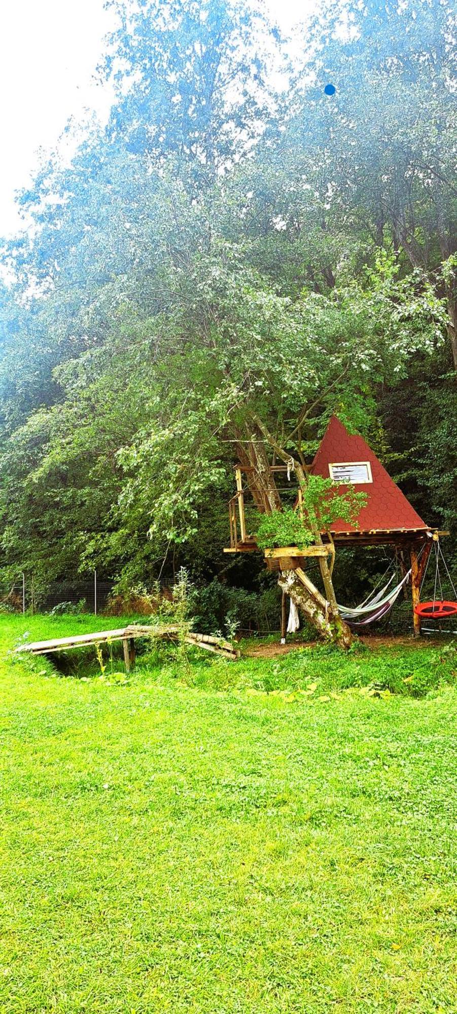 Forest Glamping Braşov Eksteriør billede
