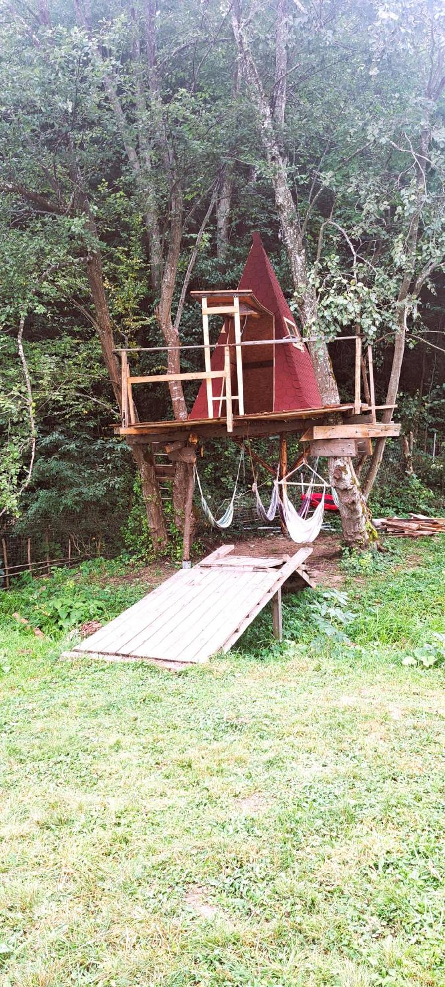 Forest Glamping Braşov Eksteriør billede